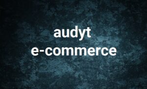 audyt ecomme